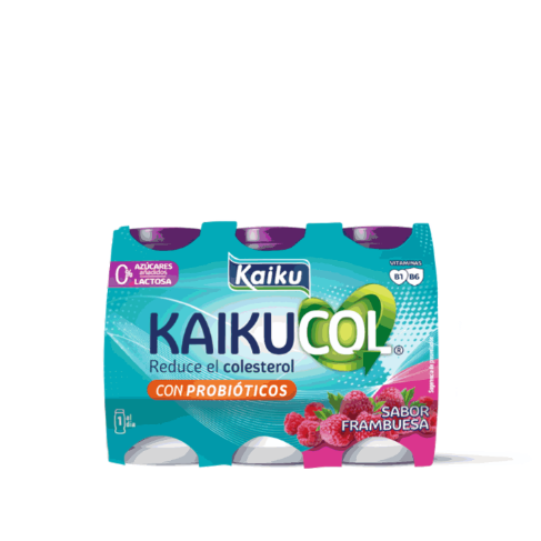 Kaiku-Col-frambuesa