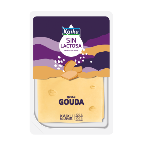 Queso Gouda