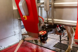 kaiku-conocenos-innovacion-sostenibilidad-ordenadora