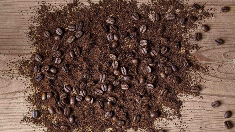 200224_Kaffee-Fakten1_3840x2160--2-.2023-06-28-15-22-36