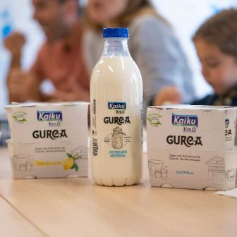 kaiku-km0-gurea-teaser